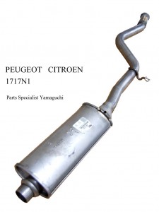 PEUGEOT   CITROEN   1717N1